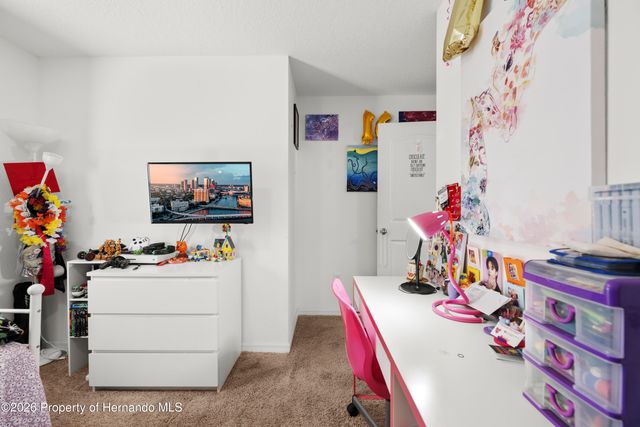 26412 MC Allister Street, Brooksville, FL 34602