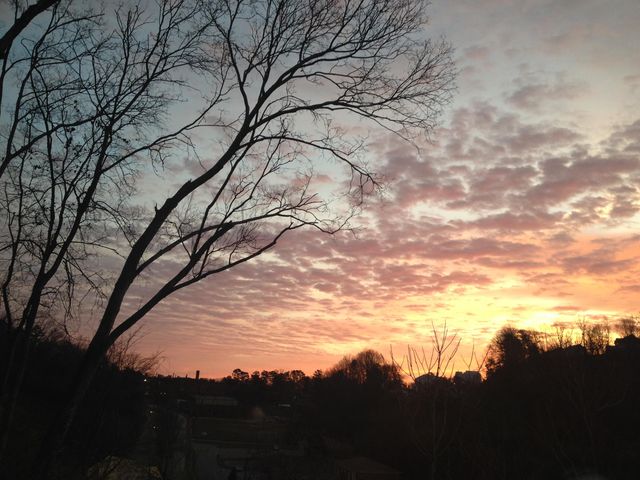 1014 Meroney Street, Chattanooga, TN 37405