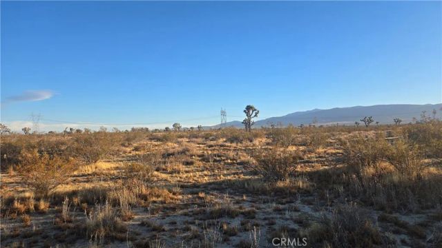 0 Avenue U4 & 257th St E, Llano, CA 93544