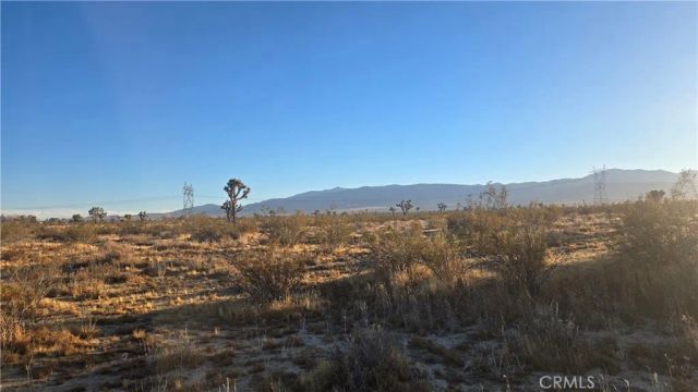 0 Avenue U4 & 257th St E, Llano, CA 93544