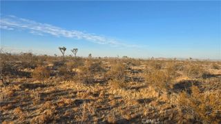 0 Avenue U4 & 257th St E, Llano, CA 93544