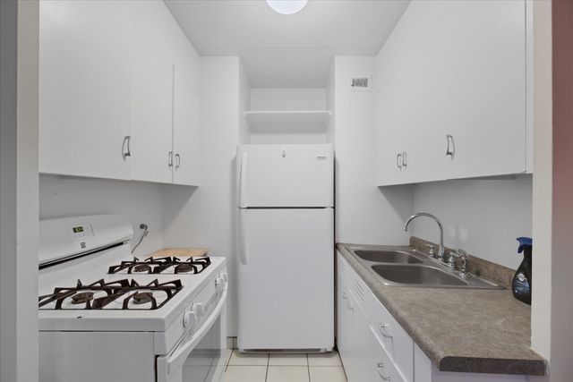 7206 Oak Avenue 1SW, River Forest, IL 60305