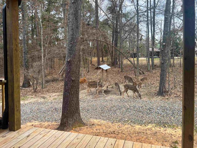 189 Dale Lane, Avinger, TX 75630