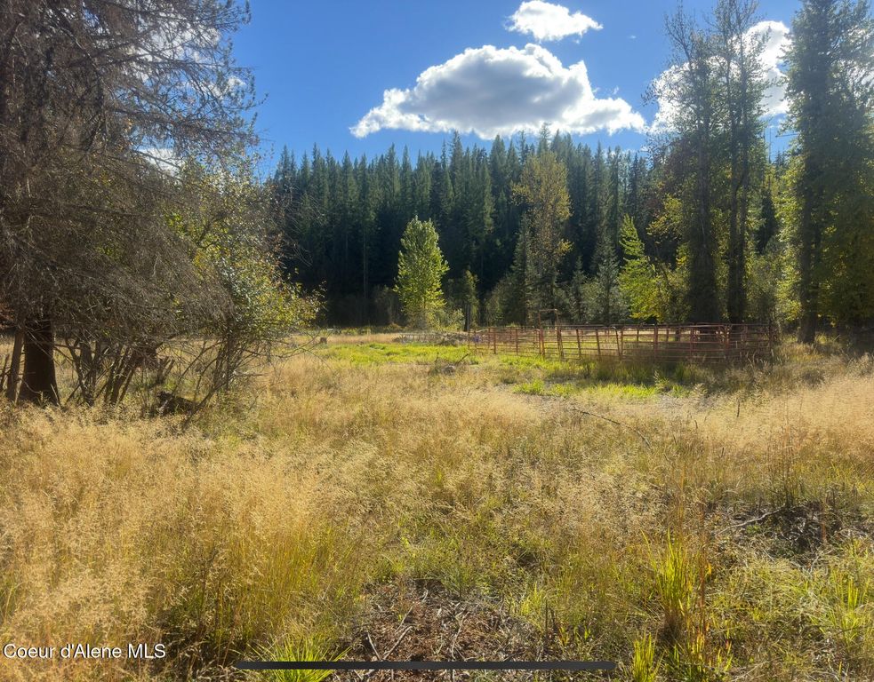 NNA Tanglewood Drive, Priest River, ID 83856