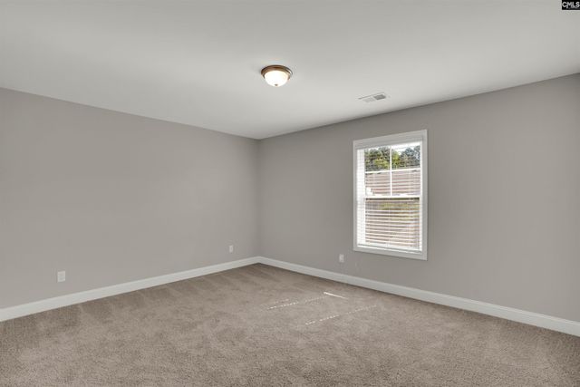 533 Mitscher Way, Chapin, SC 29036