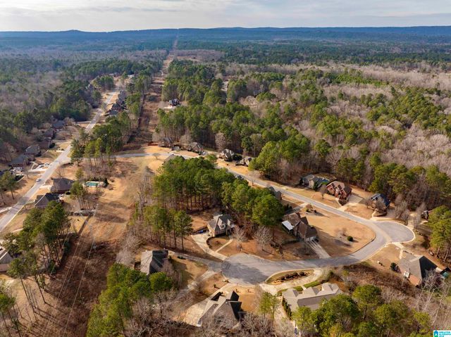 562 WOODBRIDGE TRACE, Chelsea, AL 35043