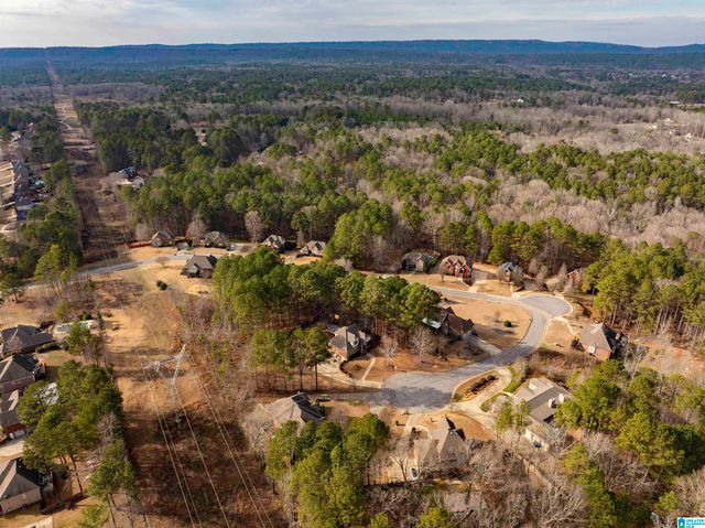 562 WOODBRIDGE TRACE, Chelsea, AL 35043