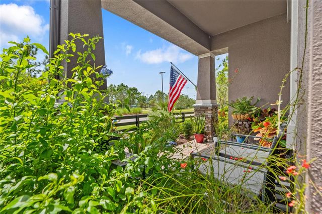 11874 BLAMEY TRAIL, Odessa, FL 33556