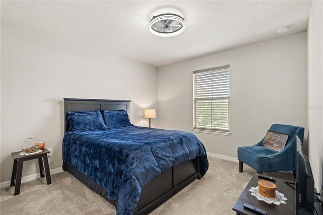 11874 BLAMEY TRAIL, Odessa, FL 33556