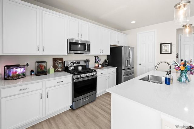 919 Goodrich Peak Street, Erie, CO 80516