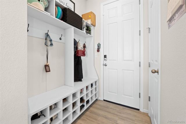 919 Goodrich Peak Street, Erie, CO 80516