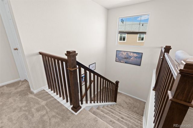 919 Goodrich Peak Street, Erie, CO 80516