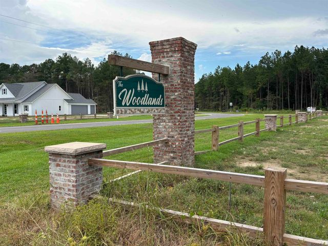 18993 Honey Grove, Livingston, LA 70754