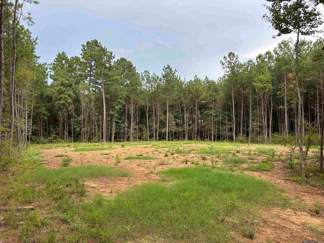 18993 Honey Grove, Livingston, LA 70754