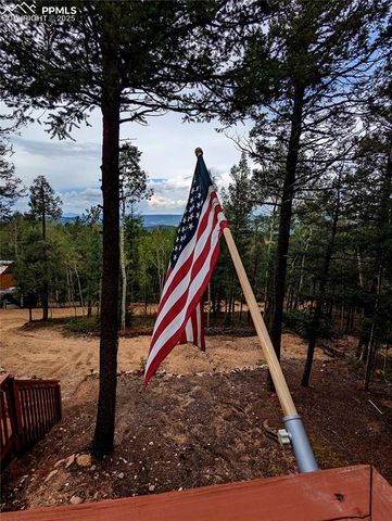 40 Flathead Lane, Woodland Park, CO 80863