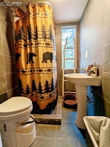 40 Flathead Lane, Woodland Park, CO 80863