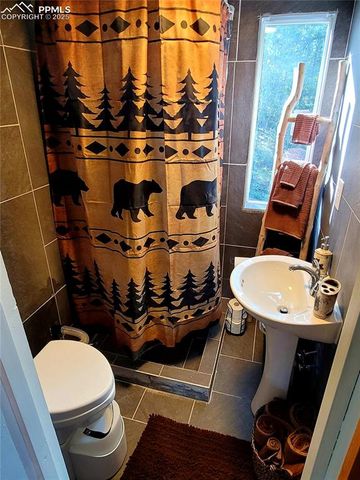 40 Flathead Lane, Woodland Park, CO 80863