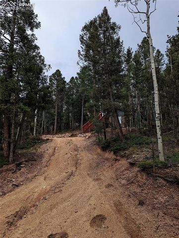 40 Flathead Lane, Woodland Park, CO 80863