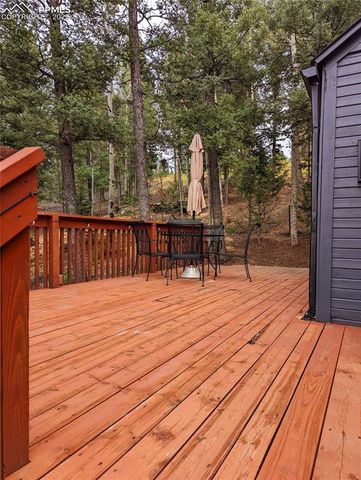 40 Flathead Lane, Woodland Park, CO 80863