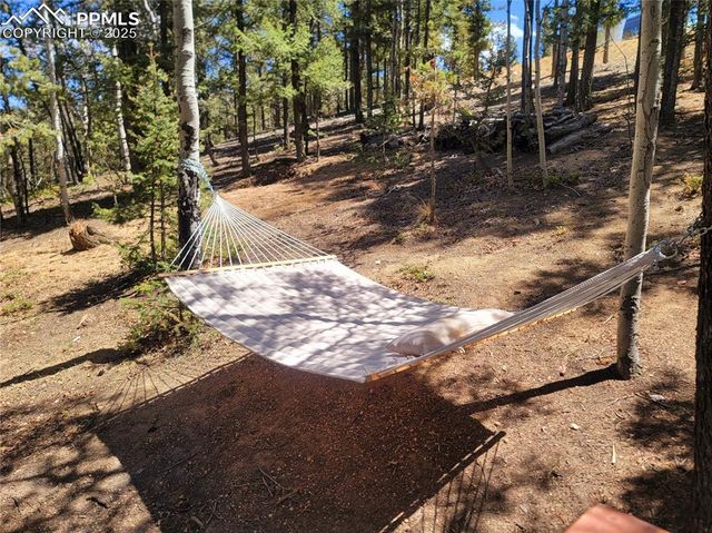 40 Flathead Lane, Woodland Park, CO 80863