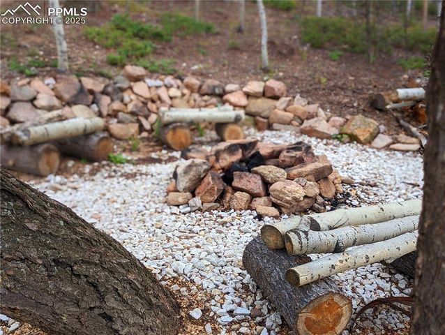 40 Flathead Lane, Woodland Park, CO 80863