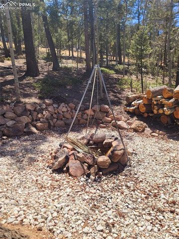 40 Flathead Lane, Woodland Park, CO 80863