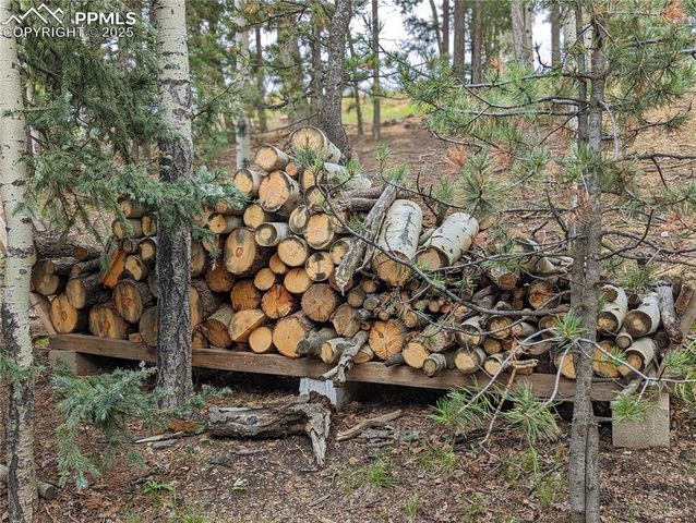 40 Flathead Lane, Woodland Park, CO 80863