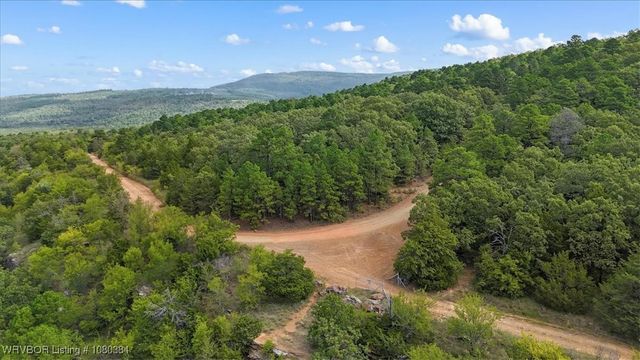 17329 Benson Lane, Heavener, OK 74937