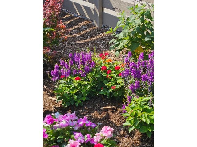 9793 Banner Peak Loop, Littleton, CO 80125