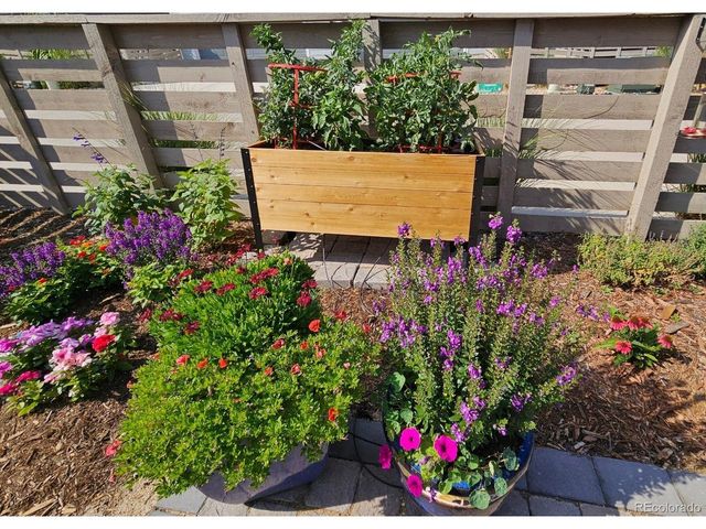 9793 Banner Peak Loop, Littleton, CO 80125