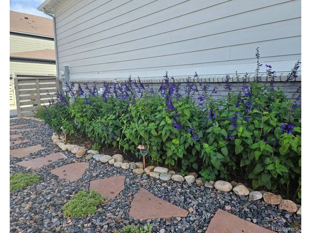 9793 Banner Peak Loop, Littleton, CO 80125