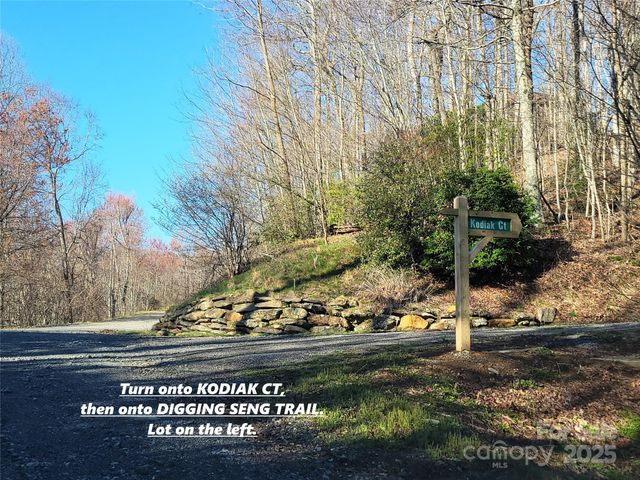 111 Digging Seng Trail 138, Waynesville, NC 28785