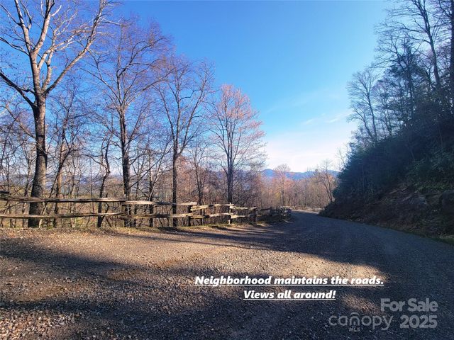 111 Digging Seng Trail 138, Waynesville, NC 28785