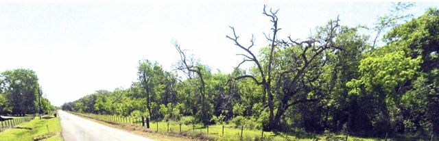0 County Road 28, Bailey's Prairie, TX 77515