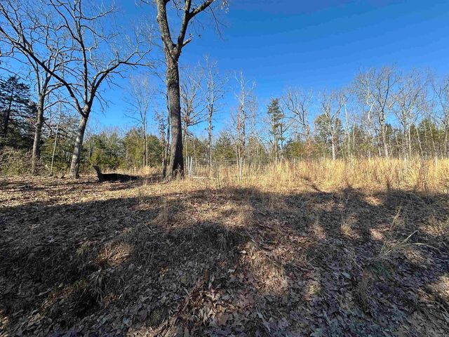 50 Cochise, Greers Ferry, AR 72067