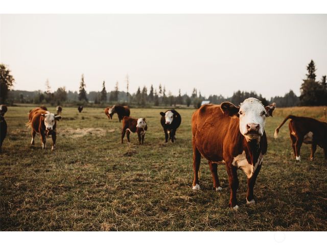 4412 332nd Street E, Eatonville, WA 98328