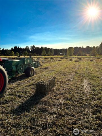 4412 332nd Street E, Eatonville, WA 98328