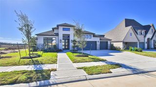 1223 Basset Hound Drive, Montgomery, TX 77316