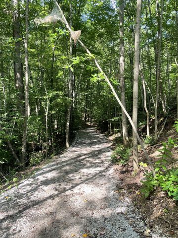 0 Summerlake Ct, Winchester, TN 37398