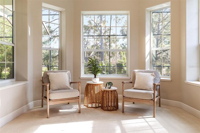 1568 BLACK LAKE DRIVE, The Villages, FL 32162