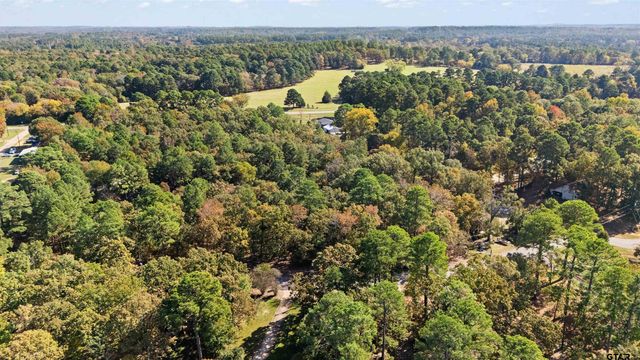 TBD HICKORY TRL, Flint, TX 75762