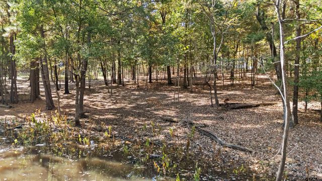 TBD HICKORY TRL, Flint, TX 75762