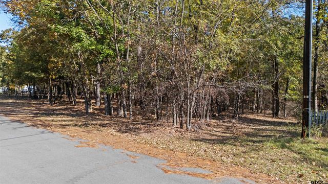 TBD HICKORY TRL, Flint, TX 75762