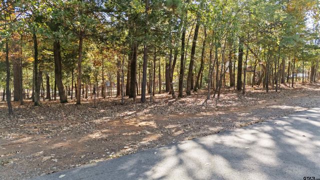 TBD HICKORY TRL, Flint, TX 75762