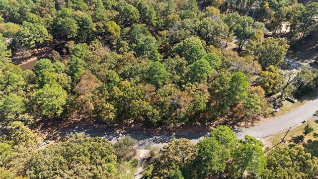 TBD HICKORY TRL, Flint, TX 75762