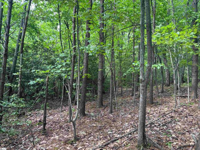 1940 Pleasant Hill Rd Lot B Lot 3-B, Greer, SC 29651