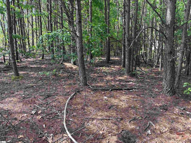 1940 Pleasant Hill Rd Lot B Lot 3-B, Greer, SC 29651
