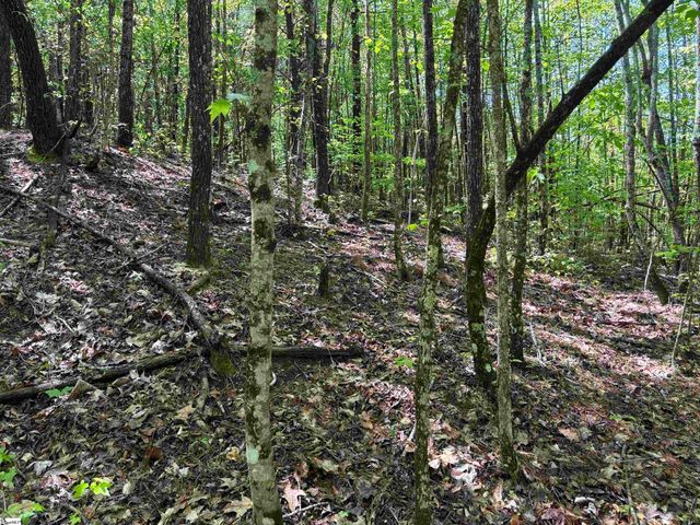 1940 Pleasant Hill Rd Lot B Lot 3-B, Greer, SC 29651