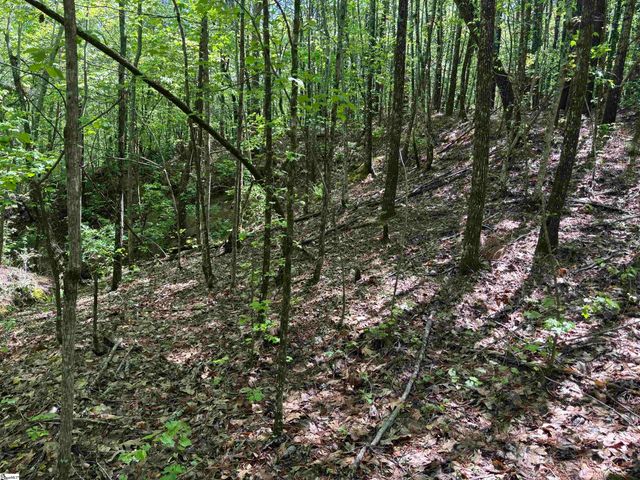 1940 Pleasant Hill Rd Lot B Lot 3-B, Greer, SC 29651
