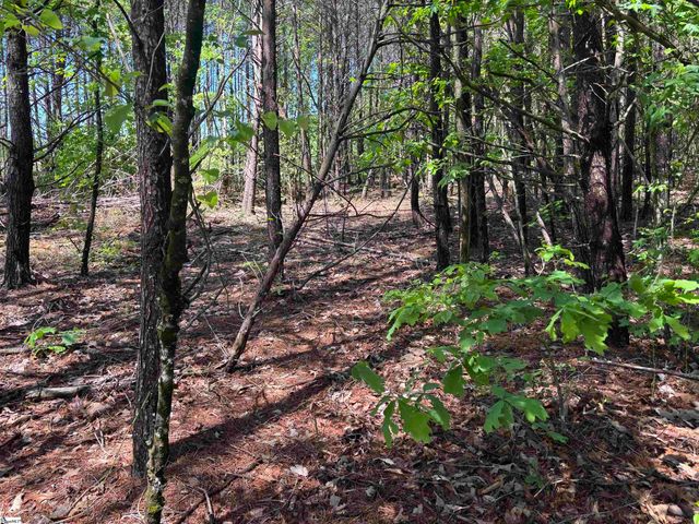 1940 Pleasant Hill Rd Lot B Lot 3-B, Greer, SC 29651